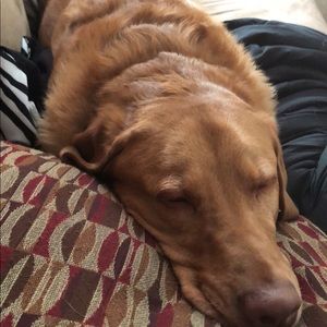 Meet your Posher, Brianna